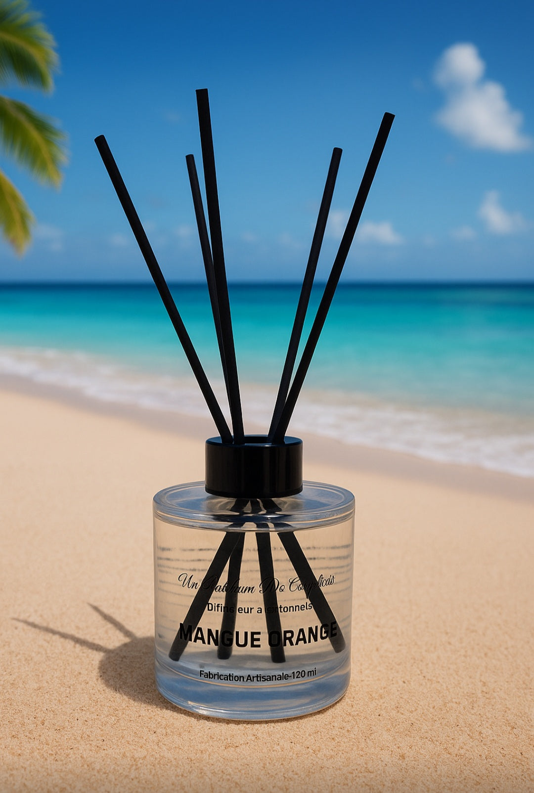 Diffuseur à Bâtonnets parfum MANGUE / ORANGE