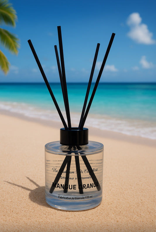 Diffuseur à Bâtonnets parfum MANGUE / ORANGE