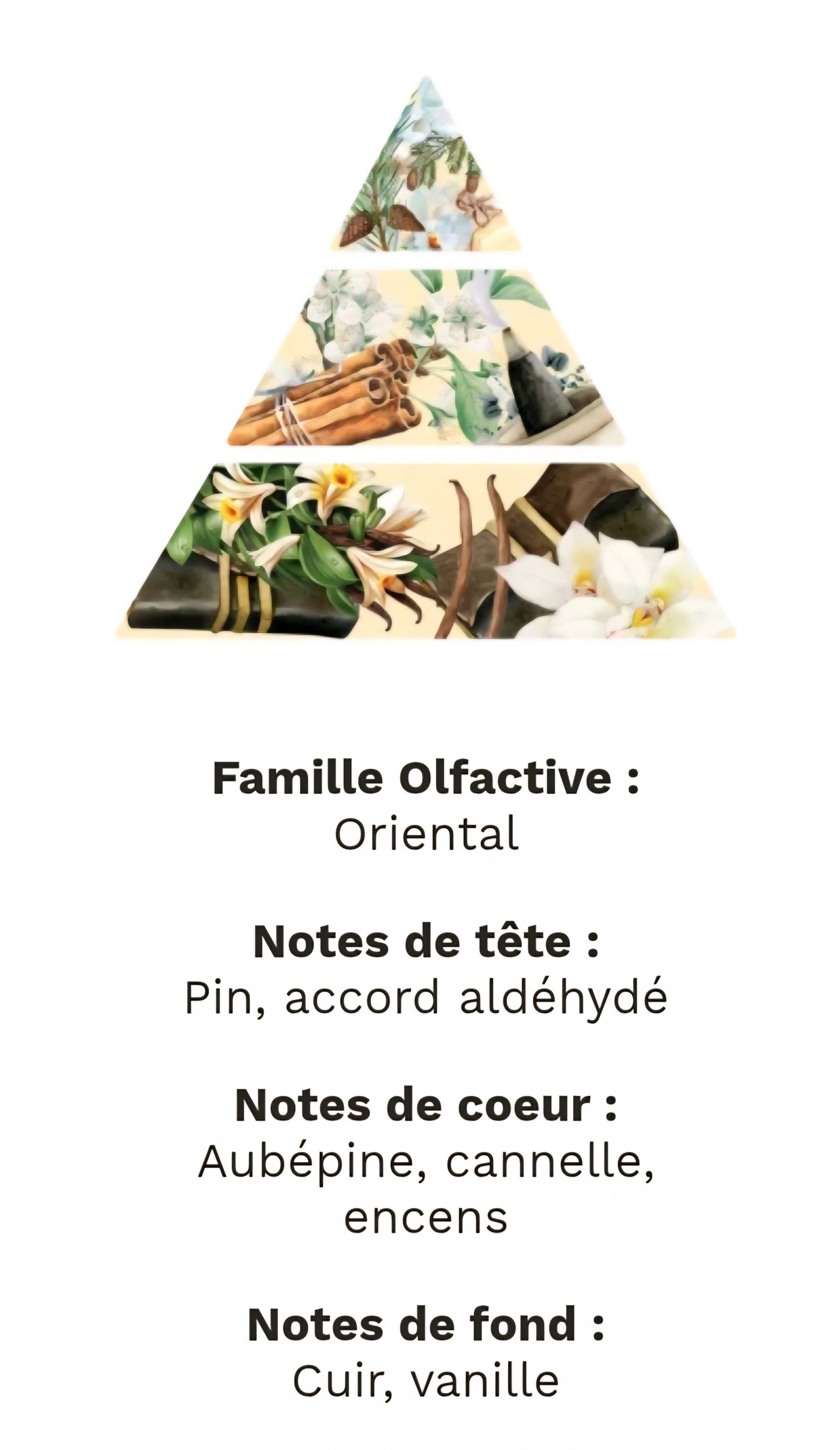 Bougie Gourmande Parfumée ORIENTAL ET ENCENS