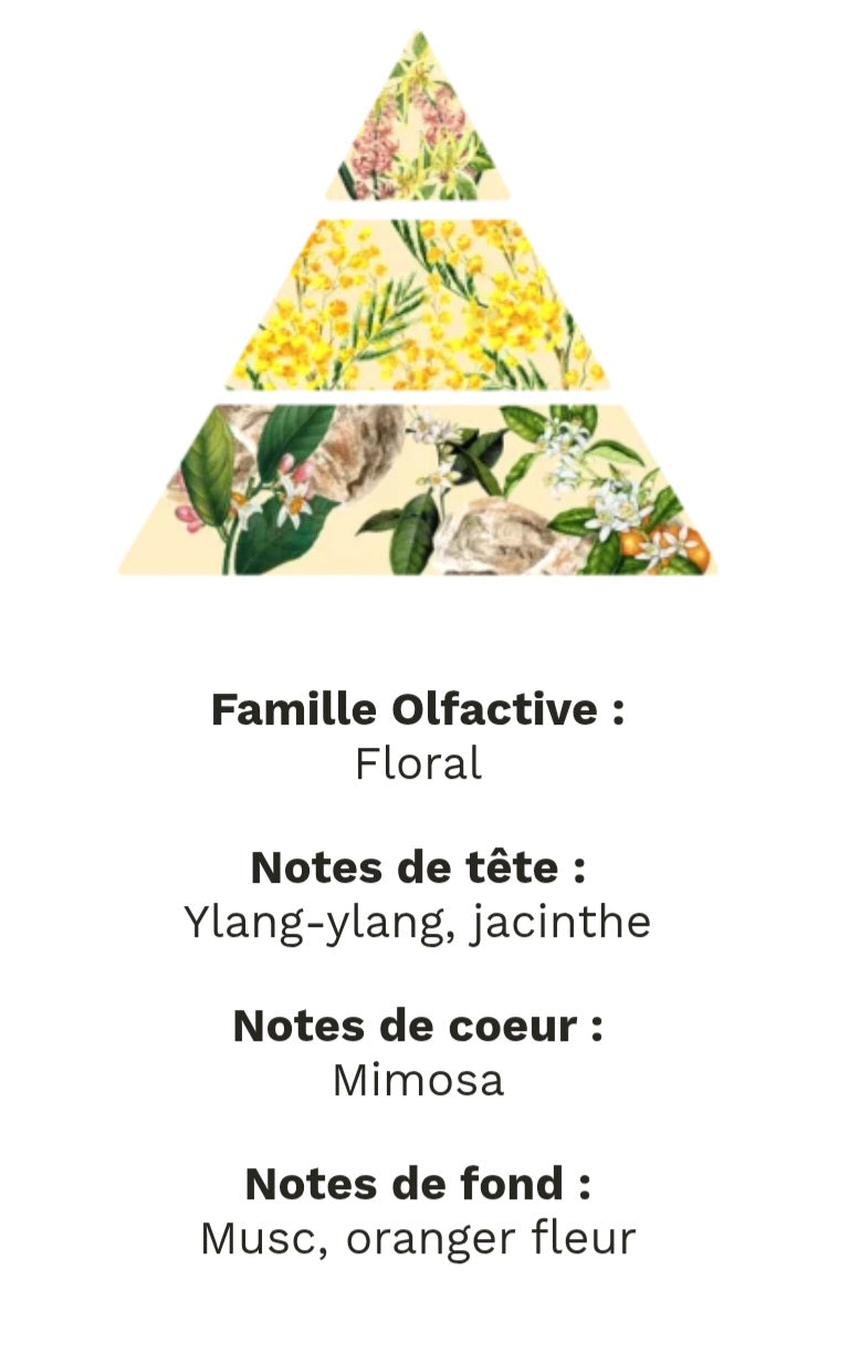 Bougie Gourmande Parfumée MIMOSA