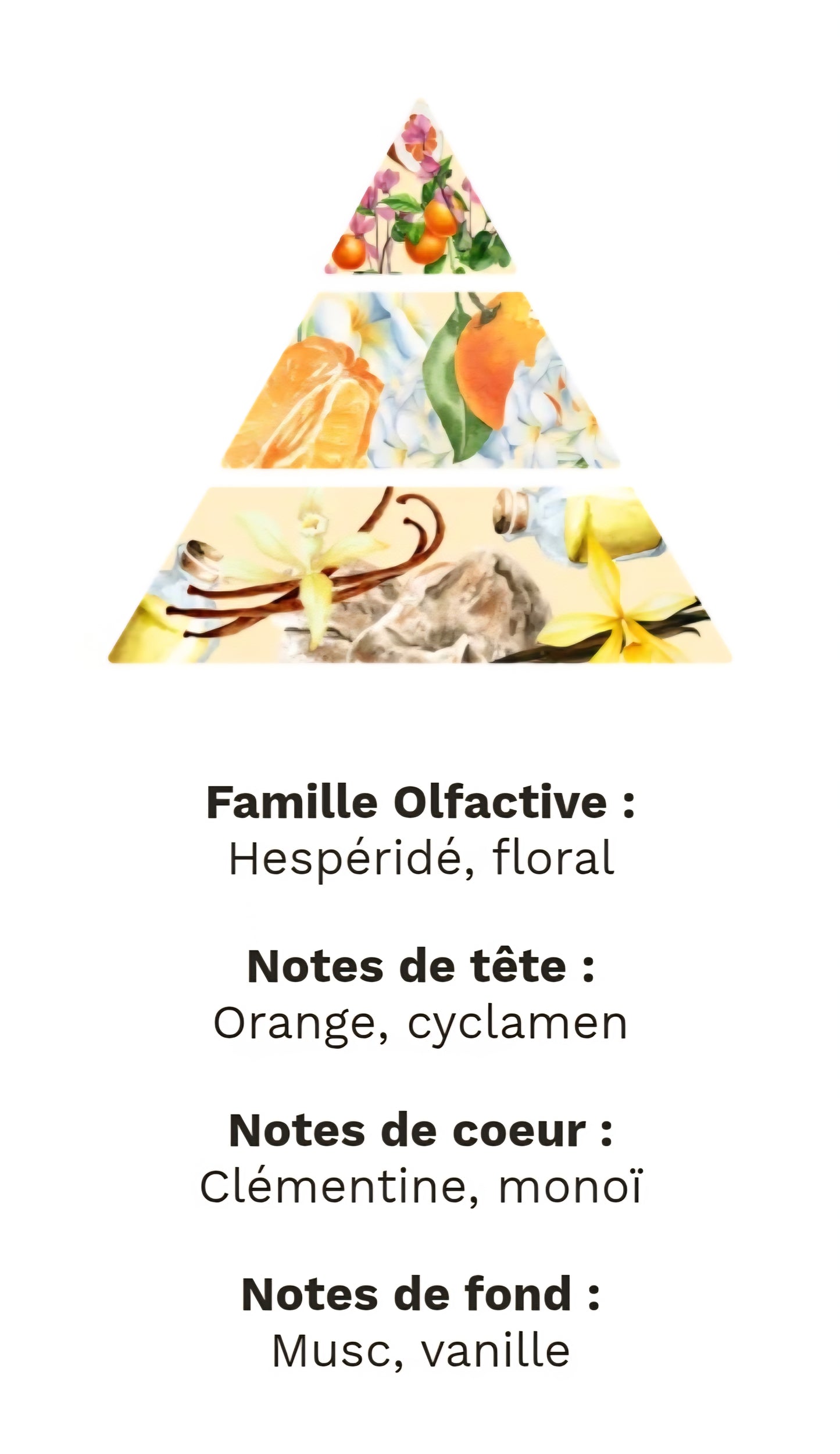 Bougie Gourmande Parfumée CLÉMENTINE MONOÏ