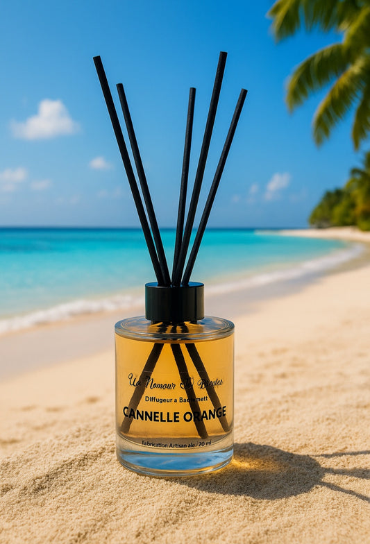 Diffuseur à Bâtonnets parfum CANNELLE / ORANGE